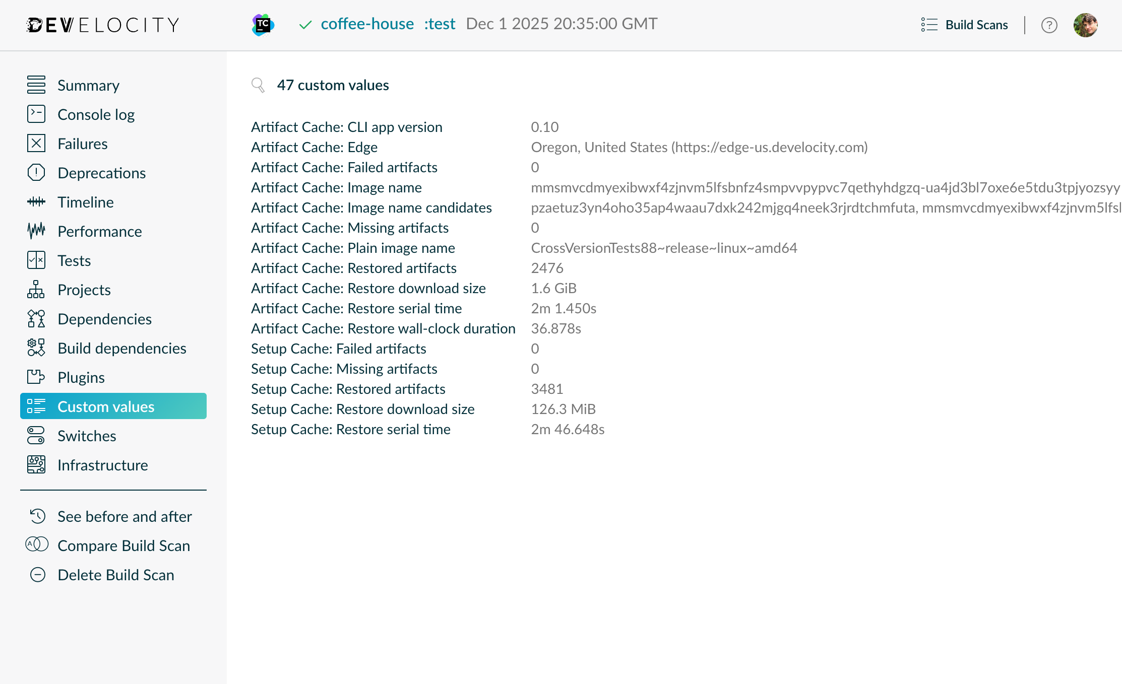 Example Build Scan with Artifact Cache and Setup Cache reporting