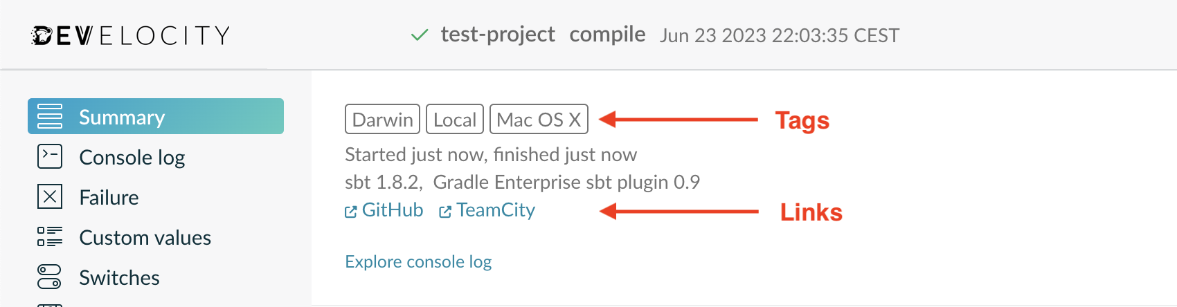 A Build Scan Containing Tags and Links