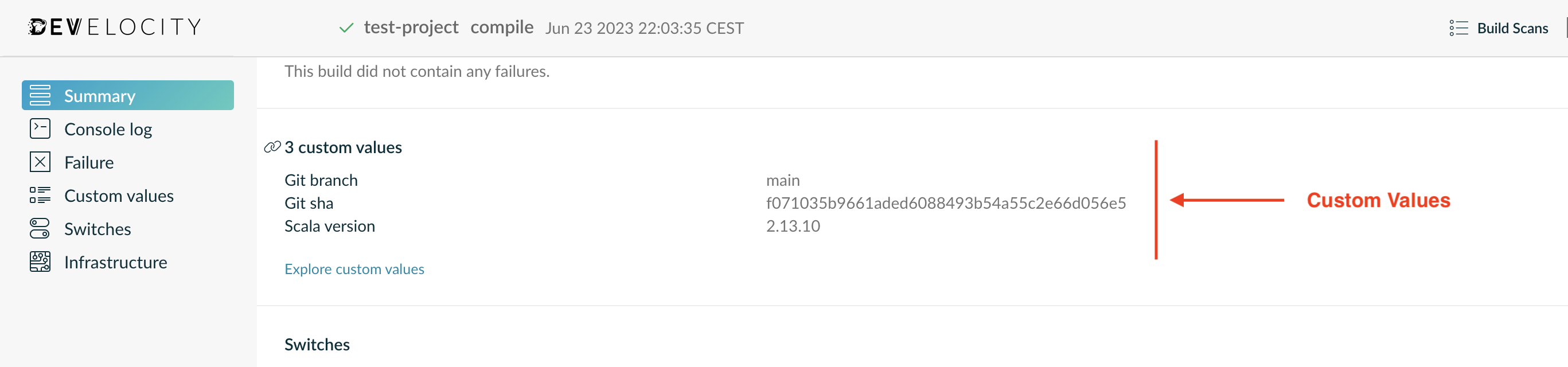 A Build Scan Containing Custom Values